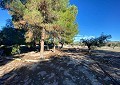  Landhaus in Sax mit 28.000m2 Grundstück in Spanish Fincas