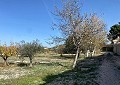  Landhaus in Sax mit 28.000m2 Grundstück in Spanish Fincas