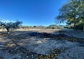  Landhaus in Sax mit 28.000m2 Grundstück in Spanish Fincas