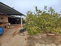 Country House for sale in La Romana. in Spanish Fincas