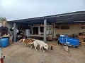 Country House for sale in La Romana. in Spanish Fincas