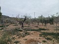 Country House for sale in La Romana. in Spanish Fincas