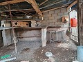 Country House for sale in La Romana. in Spanish Fincas