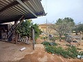 Country House for sale in La Romana. in Spanish Fincas