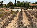 Stunning building plot walking distance to town  in Spanish Fincas