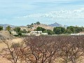 Joli terrain à distance de marche de la ville. in Spanish Fincas