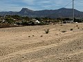 Joli terrain à distance de marche de la ville. in Spanish Fincas