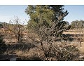 Landhaus mit 2 Schlafzimmern und 1 Bad zu verkaufen in Lel, Pinoso. in Spanish Fincas