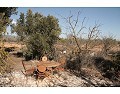 Landhaus mit 2 Schlafzimmern und 1 Bad zu verkaufen in Lel, Pinoso. in Spanish Fincas