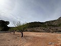 Impresionante Obra Nueva Moderna en La Romana in Spanish Fincas