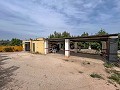 Gezellig landhuis met zwembad in Sax in Spanish Fincas