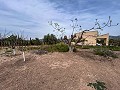Gezellig landhuis met zwembad in Sax in Spanish Fincas