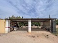 Gezellig landhuis met zwembad in Sax in Spanish Fincas