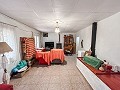 Gezellig landhuis met zwembad in Sax in Spanish Fincas