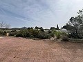  Country House in Sax in Spanish Fincas