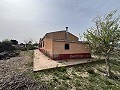  Country House in Sax in Spanish Fincas