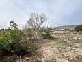  Country House in Sax in Spanish Fincas