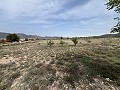  Country House in Sax in Spanish Fincas