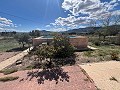  Country House in Sax in Spanish Fincas