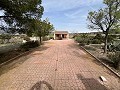  Country House in Sax in Spanish Fincas