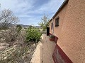  Country House in Sax in Spanish Fincas