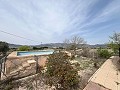  Country House in Sax in Spanish Fincas