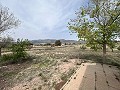  Country House in Sax in Spanish Fincas