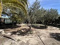2 Bed 1 Bath Finca for sale in la Romana. in Spanish Fincas