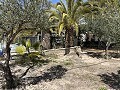 2 Bed 1 Bath Finca for sale in la Romana. in Spanish Fincas