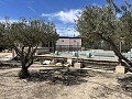 2 Bed 1 Bath Finca for sale in la Romana. in Spanish Fincas