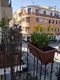 Casa adosada de 4 dormitorios y 2 plantas en Ayora in Spanish Fincas