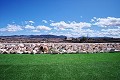 Beautiful 4 Bedroom 3 Bathroom Villa in Pinoso.(Fixed price) in Spanish Fincas