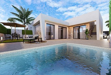 Lux villa in Roldan