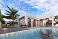 Lux villa in Roldan in Spanish Fincas