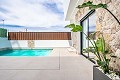 Lux villa in Roldan in Spanish Fincas