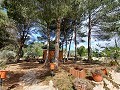 Lovely 5 bed 1 Bath Villa near the Town of Sax in Spanish Fincas