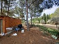 Lovely 5 bed 1 Bath Villa near the Town of Sax in Spanish Fincas