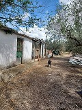 Lovely 5 bed 1 Bath Villa near the Town of Sax in Spanish Fincas