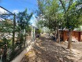 Lovely 5 bed 1 Bath Villa near the Town of Sax in Spanish Fincas
