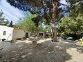 Lovely 5 bed 1 Bath Villa near the Town of Sax in Spanish Fincas