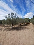 Lovely 5 bed 1 Bath Villa near the Town of Sax in Spanish Fincas