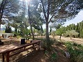 Lovely 5 bed 1 Bath Villa near the Town of Sax in Spanish Fincas