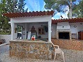 Lovely 5 bed 1 Bath Villa near the Town of Sax in Spanish Fincas