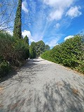 Lovely 5 bed 1 Bath Villa near the Town of Sax in Spanish Fincas