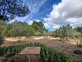 Lovely 5 bed 1 Bath Villa near the Town of Sax in Spanish Fincas