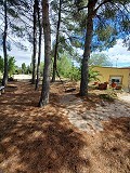 Lovely 5 bed 1 Bath Villa near the Town of Sax in Spanish Fincas