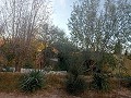 Lovely 5 bed 1 Bath Villa near the Town of Sax in Spanish Fincas