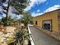 Lovely 5 bed 1 Bath Villa near the Town of Sax in Spanish Fincas