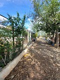 Lovely 5 bed 1 Bath Villa near the Town of Sax in Spanish Fincas