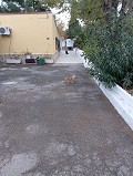 Lovely 5 bed 1 Bath Villa near the Town of Sax in Spanish Fincas
